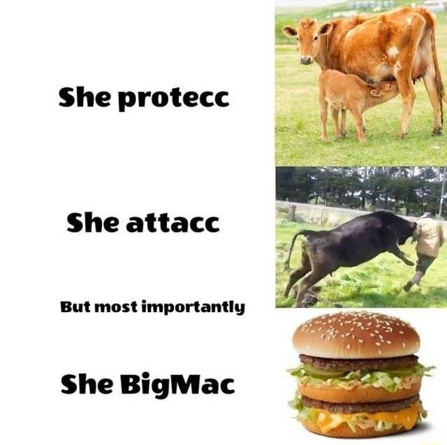 She protecc She attacc But mostimportantly She BigMac