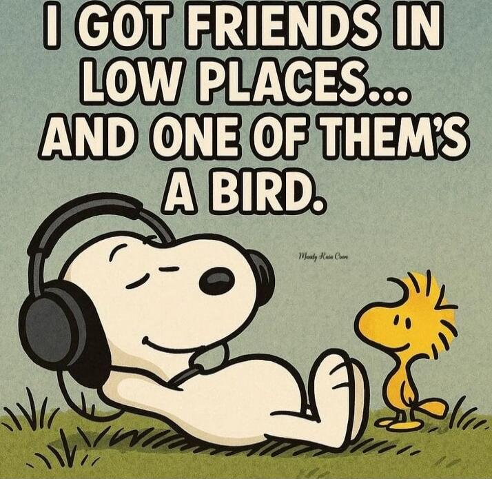 I GOT FRIENDS IN LOW PLACES... AND ONE OF THEM'S A BIRD.