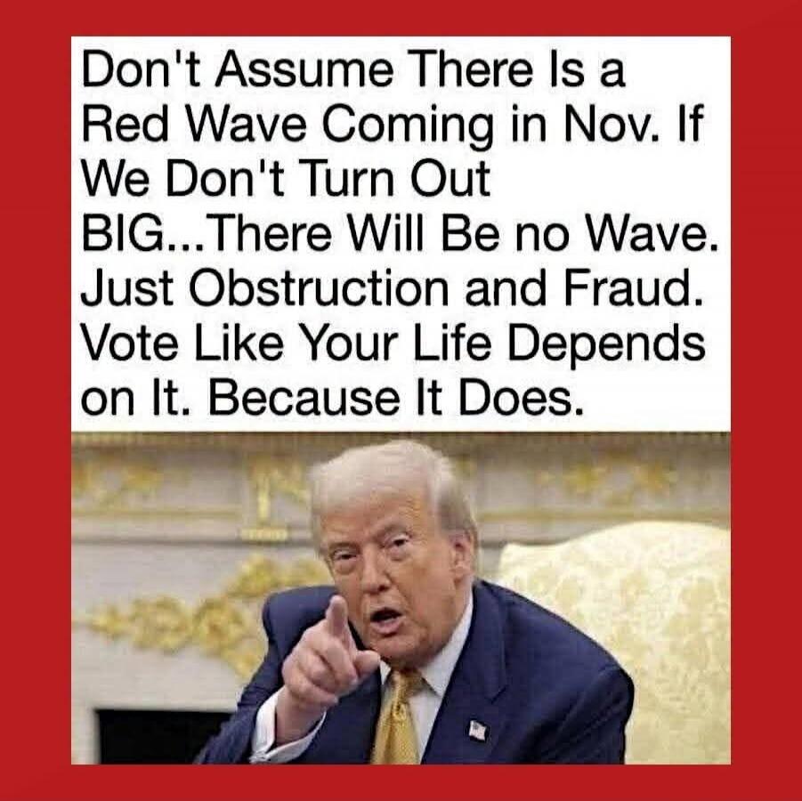 Don't Assume There Is a Red Wave Coming in Nov. If We Don't Turn Out BIG...There Will Be no Wave. Just Obstruction and Fraud. Vote Like Your Life Depends on It. Because It Does.