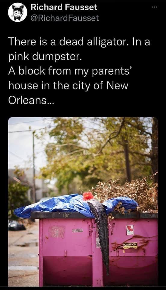 Richard Fausset RichardFausset There is a dead alligator In a pink dumpster VAW olelel STl naNaalA 1Ta1 58 house in the city of New 01 CETRE PN