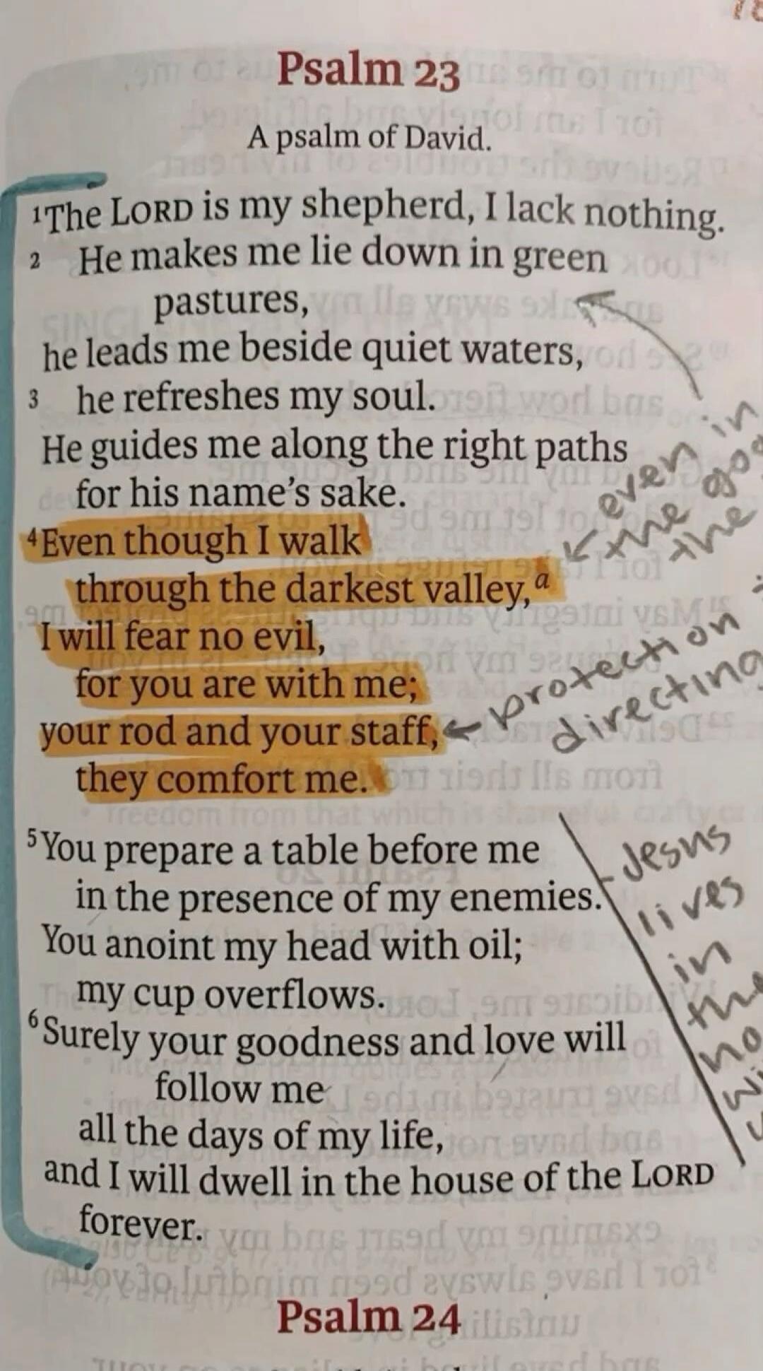 Psalm 23
A psalm of David.
1 The LORD is my shepherd, I lack nothing.
2 He makes me lie down in green pastures, he leads me beside quiet waters,
3 he refreshes my soul. He guides me along the right paths for his name's sake.
4 Even though I walk through the darkest valley, I will fear no evil, for you are with me; your rod and your staff, they comf