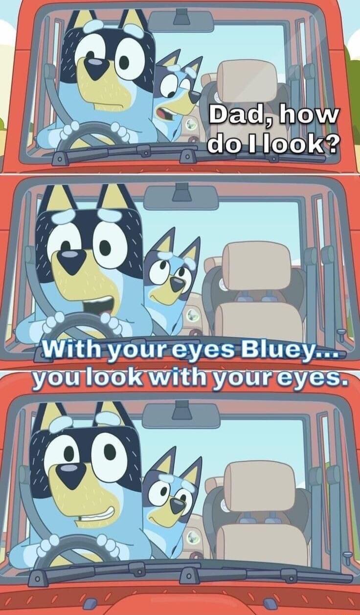 Dad hw 2 o Iodk A 1 Withyoureyes Bluey youlookwithiyoureyes