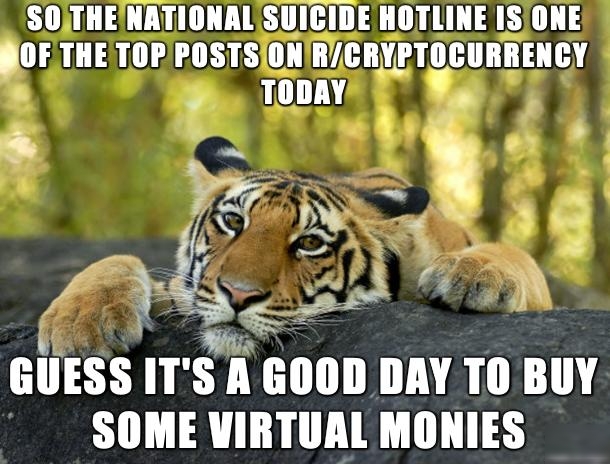 SOTHENATIONALSUICIDEHOTLINE ISONE DFTHETGFPOSTSDHBIGHYPTDGBBEHGY TODAY L o GIINS L GUESS ITS A 600D DAY TO BUY SOME VIRTUAL MONIES