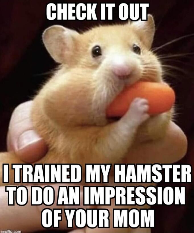CHECK IT OUT I TRAINED MY HAMSTER TO DO AN IMPRESSION OF YOUR MOM