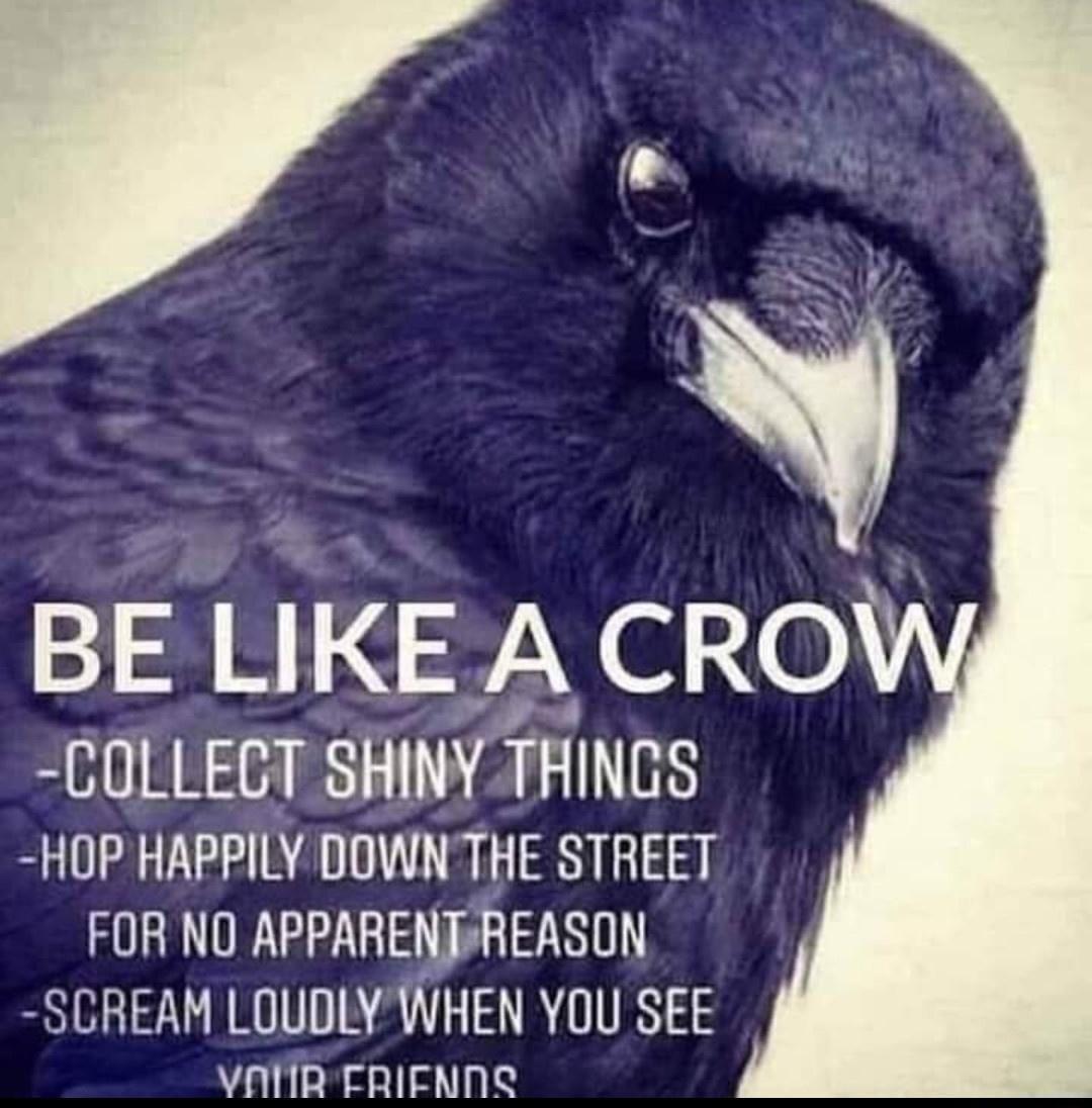 BE LIKE A CRO COLLEGT SHINY THINGS HOP HAPPILY DOWN THE STREET FOR NO APPARENFREASON SCREAM LOUDLYWHEN YOU SEE vAliR FRIENNS