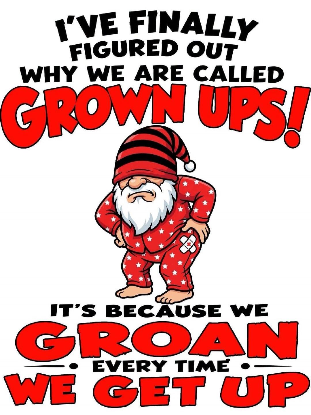 I'VE FINALLY FIGURED OUT WHY WE ARE CALLED GROWN UPS! IT'S BECAUSE WE GROAN EVERY TIME WE GET UP