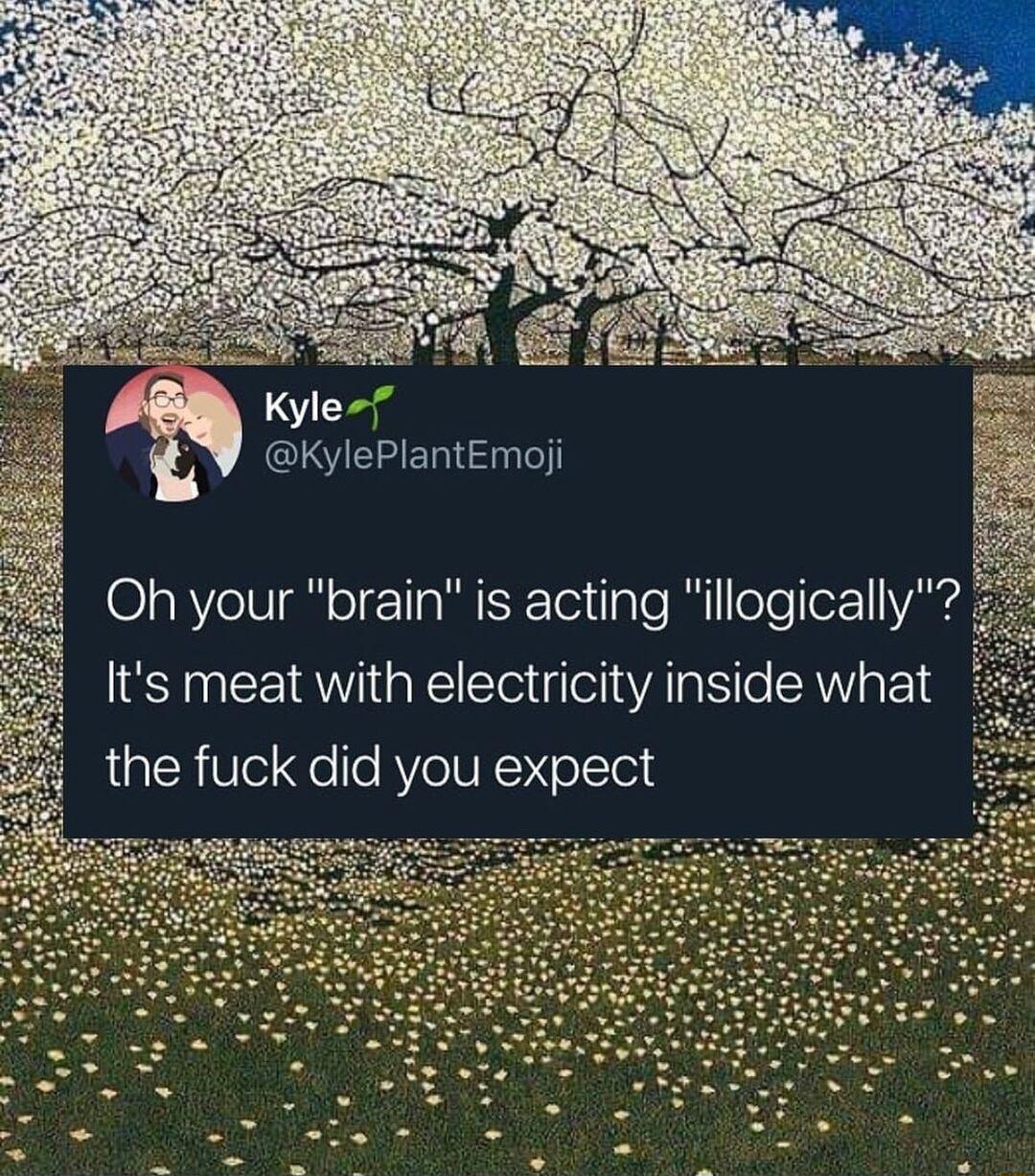 ialelllleeler11Y IS ac o L resy A1 o AL N Kyle lts meat with electricity inside what the fuck did you expect Oh your brain