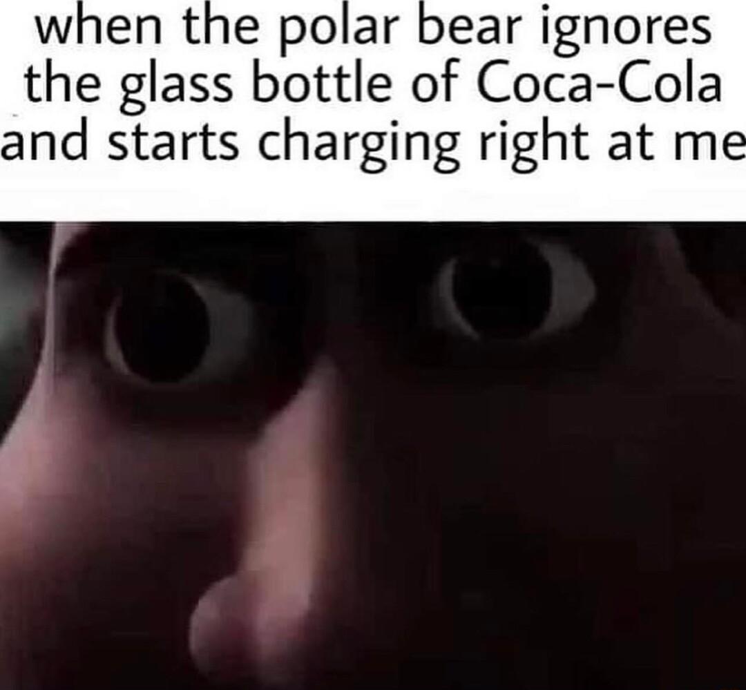 bear ignores the glass bottle of Coca Cola and starts charging right at me