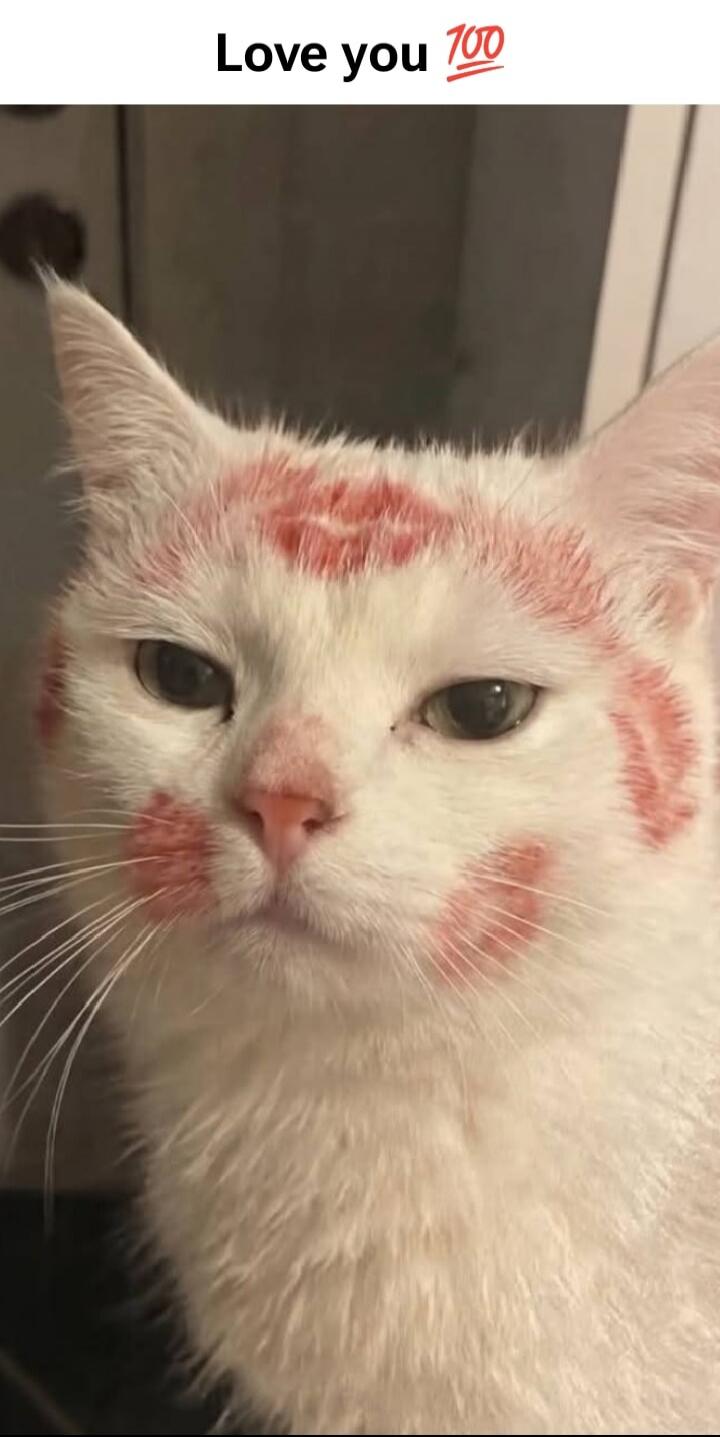 Love you 100