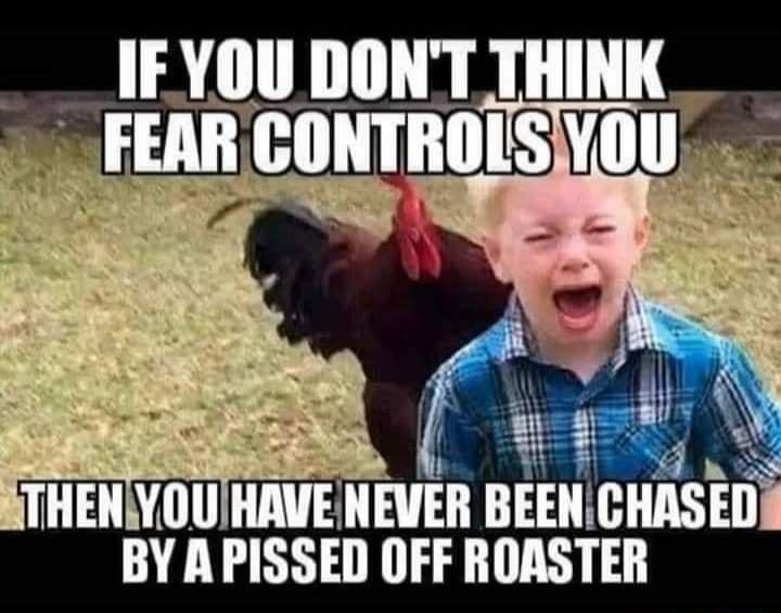 _E Y0II DONTTHINK vtV vnu HAVE NEVER nucmsin BY APISSED OFF ROASTER