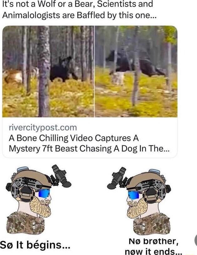 Its nota Wolt or a Bear Scientists and Animalologists are Baffled by this one rivercitypostcom A Bone Chilling Video Captures A Mystery 7ft Beast Chasing A Dog In The No brother So It bgins now it ends