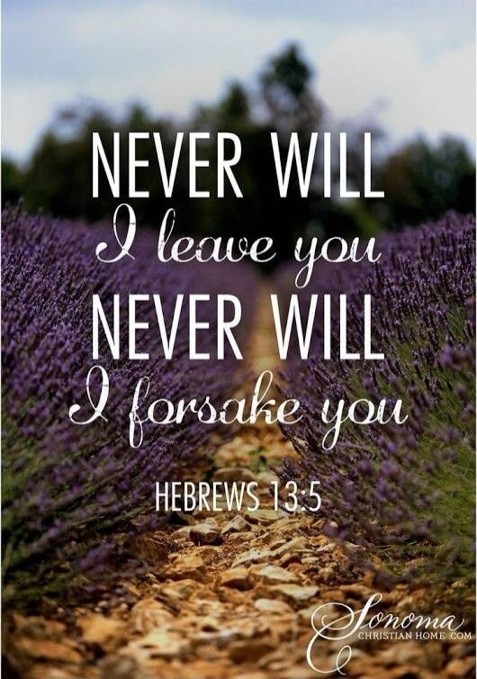 NEVER WILL I leave you NEVER WILL I forsake you HEBREWS 13:5 Sonoma CHRISTIAN HOME.COM