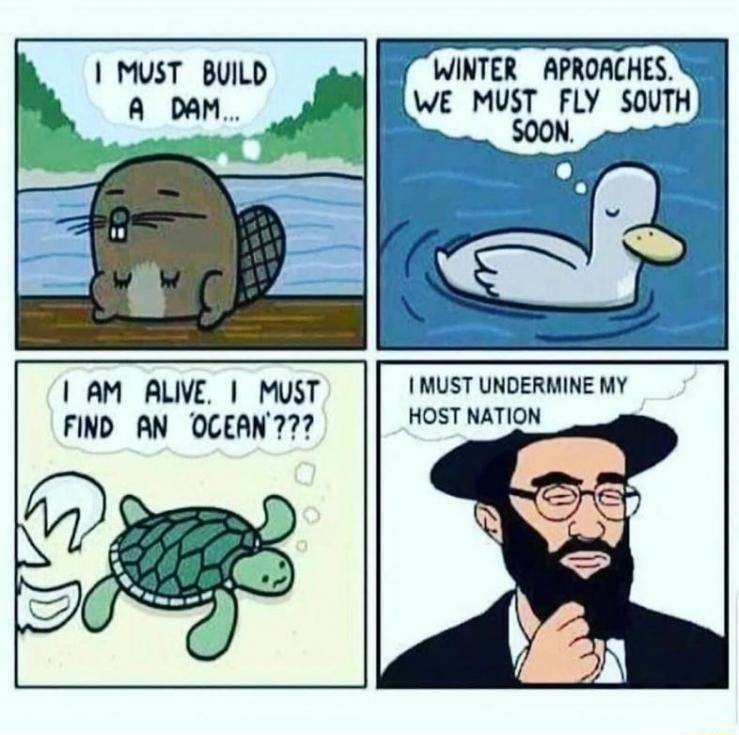 MUST BUILD WINTER _ APROACHES A DAM WE MUST FLY SOUTH SOON AM ALIVE MUST I MUST UNDERMINE MY FIND AN OCEAN77 HOST NATION