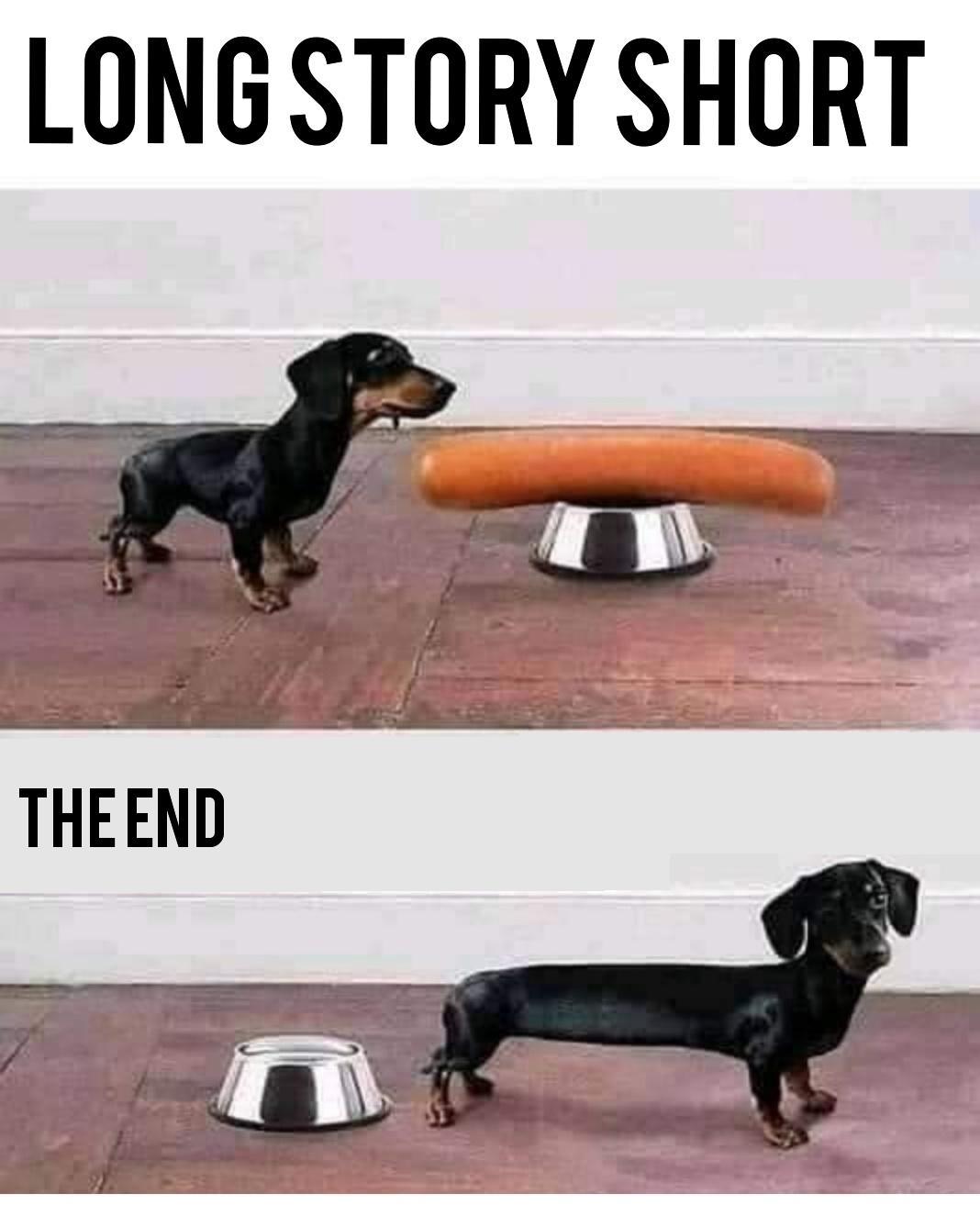 LONG STORY SHORT THEEND