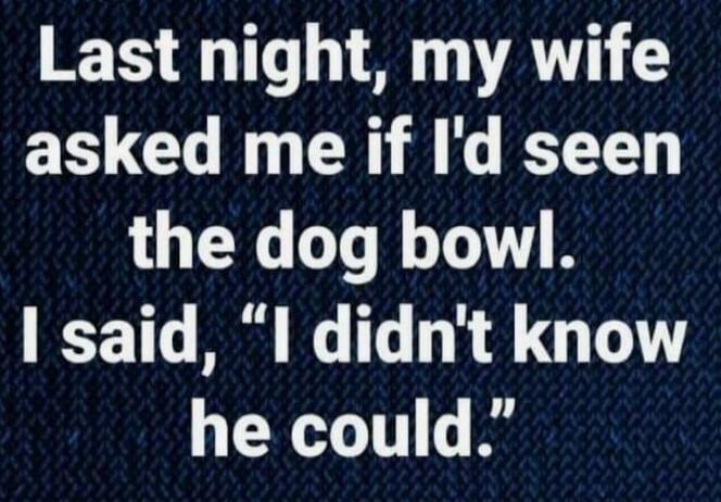 Last night, my wife asked me if I'd seen the dog bowl. I said, 'I didn't know he could.'
