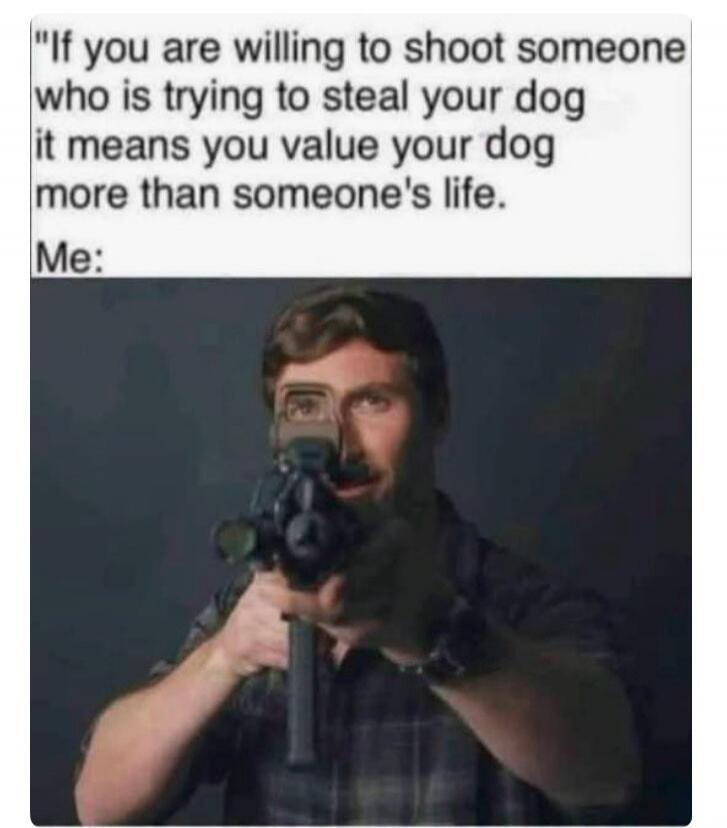 If you are willing to shoot someone who is trying to steal your dog it means you value your dog more than someone's life. Me: