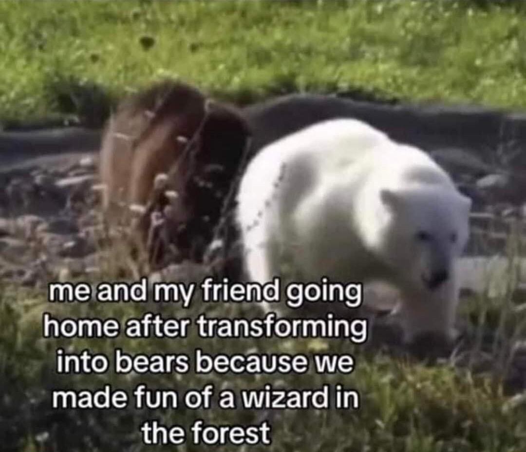 e melandr mv LEe e lellyle homeafter transformlng CNTEETS because we made fun of a wizard in the forest