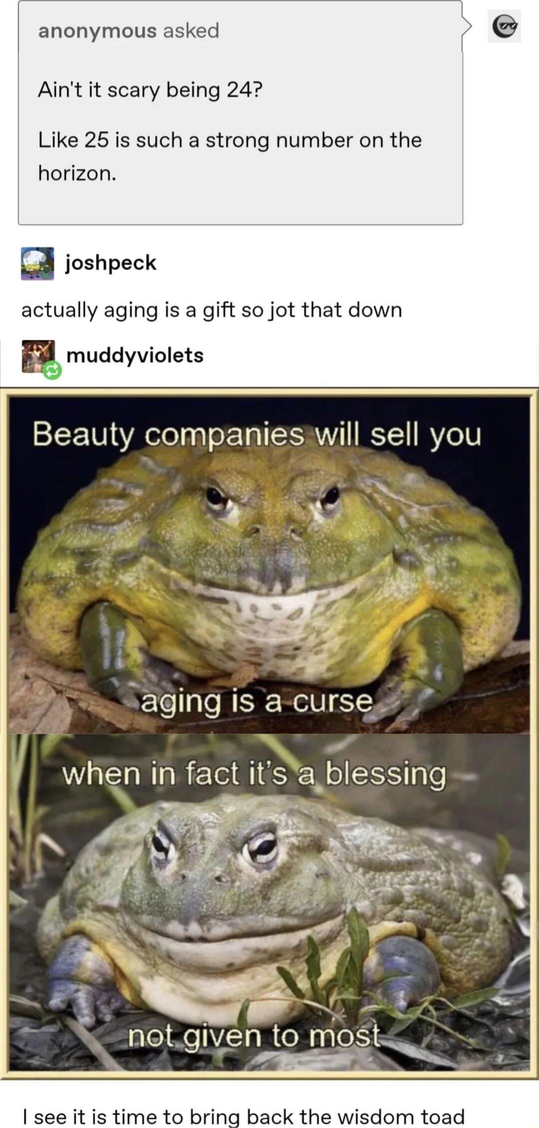anonymous asked Aint it scary being 24 Like 25 is such a strong number on the horizon L3 ioshpeck actually aging is a gift so jot that down muddyviolets Beauty companiesawill sell you O y aging is a curse