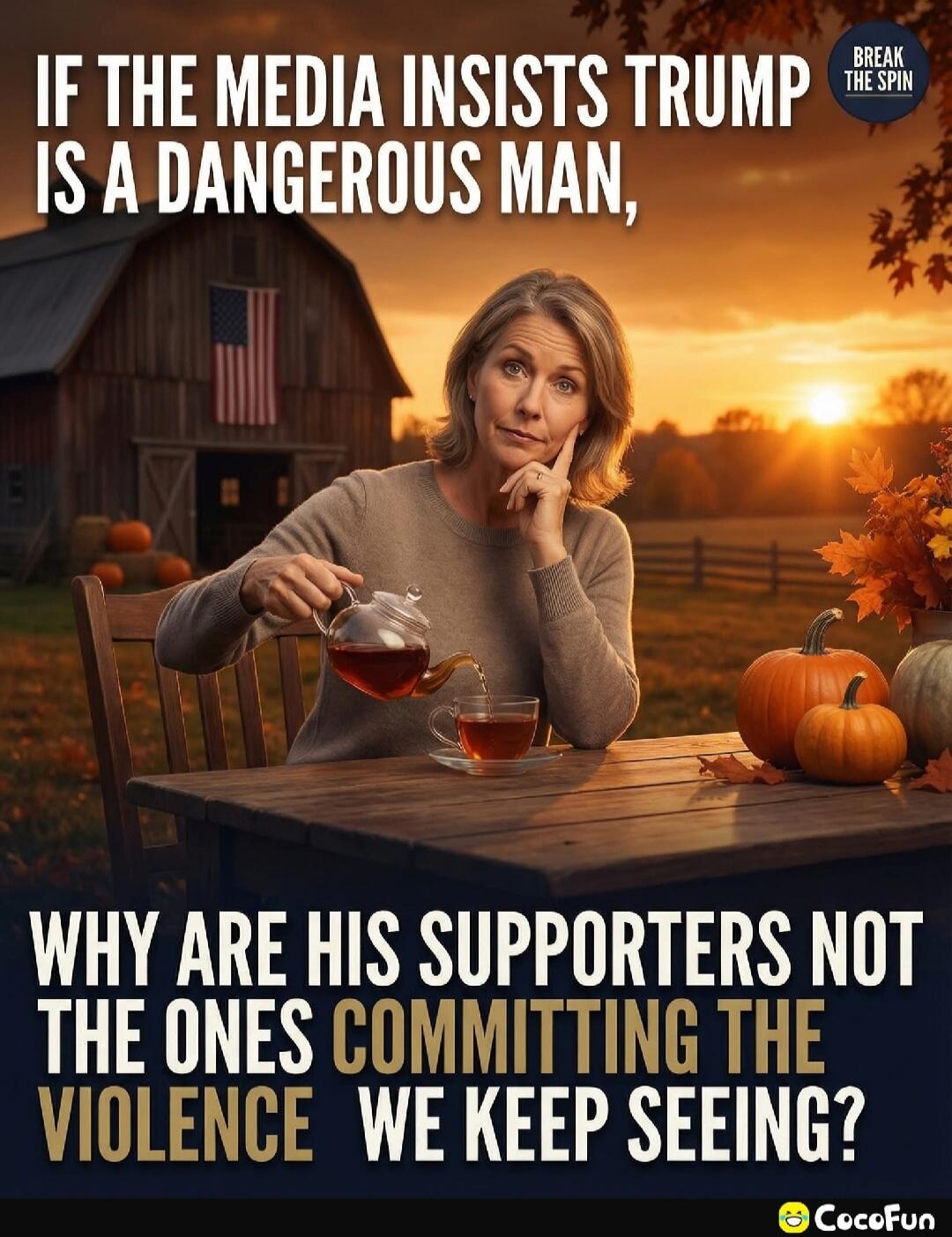 IF THE MEDIA INSISTS TRUMP IS A DANGEROUS MAN, WHY ARE HIS SUPPORTERS NOT THE ONES COMMITTING THE VIOLENCE WE KEEP SEEING?