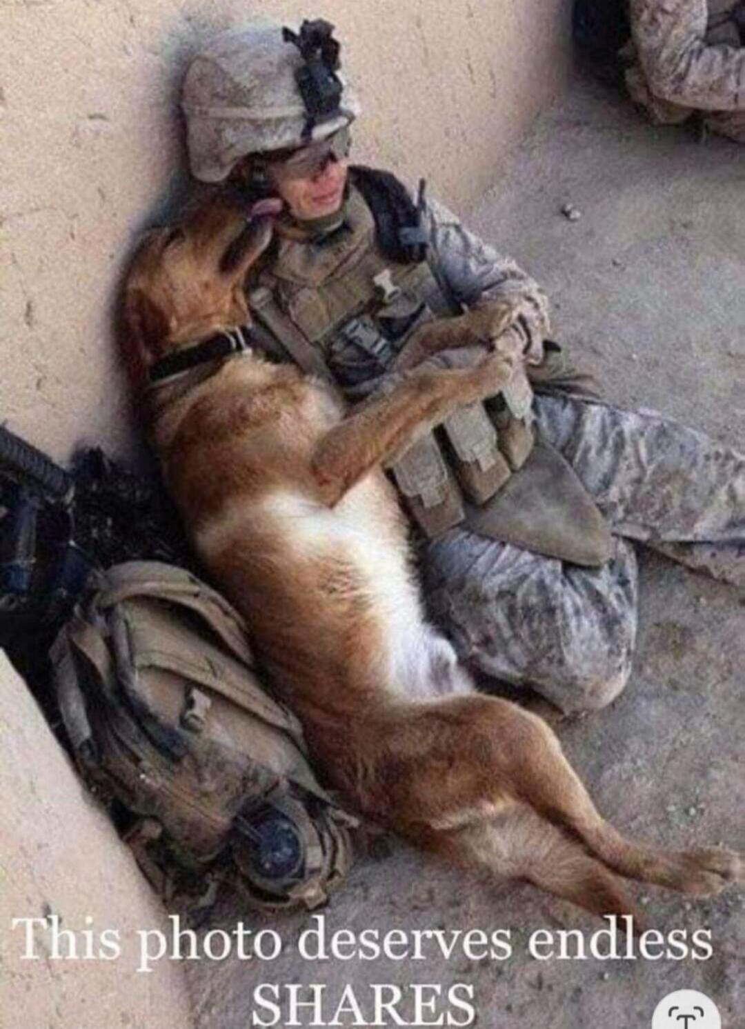 This photo deserves endless SHARES. A soldier, likely female, in military uniform and helmet, is sitting on the ground, leaning against a wall. A brown dog is lying on her lap and chest, affectionately licking her face. The soldier is smiling, showing a tender moment between them.