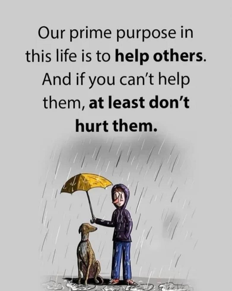 Our prime purpose in this life is to help others. And if you can’t help them, at least don’t hurt them.