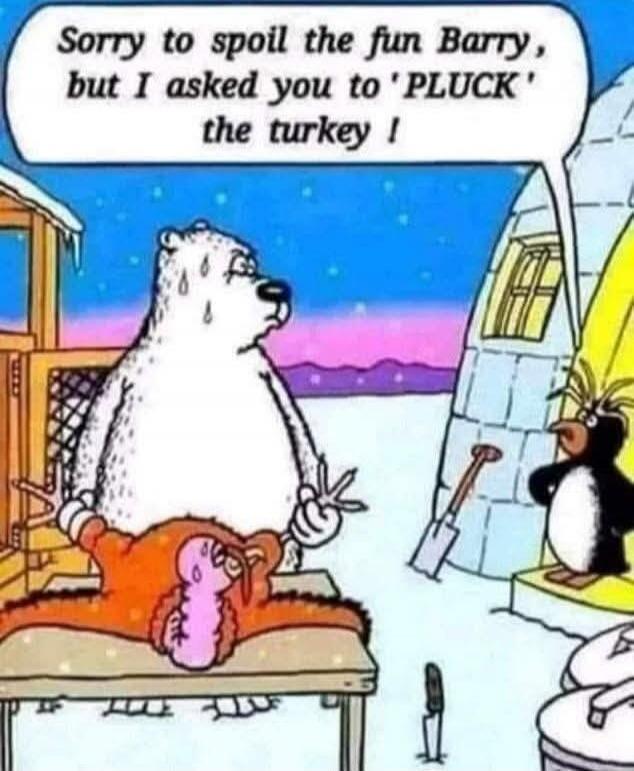 Sorry to spoil the fun Barry, but I asked you to 'PLUCK' the turkey !