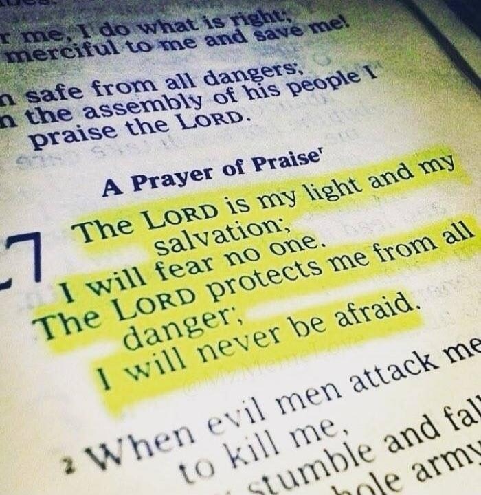 The LORD is my light and my salvation; I will fear no one. The LORD protects me from all danger; I will never be afraid. A Prayer of Praise. When evil men attack me to kill me, stumble and fall whole army. me, I do what is right; merciful to me and save me! safe from all dangers; in the assembly of his people I praise the LORD.