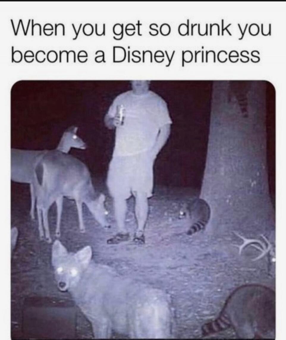 When you get so drunk you become a Disney princess