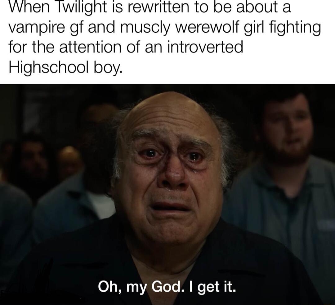 VWhen lwilight Is rewritten to vampire gf and muscly werewolf girl fighting for the attention of an introverted Highschool boy Oh my God get it