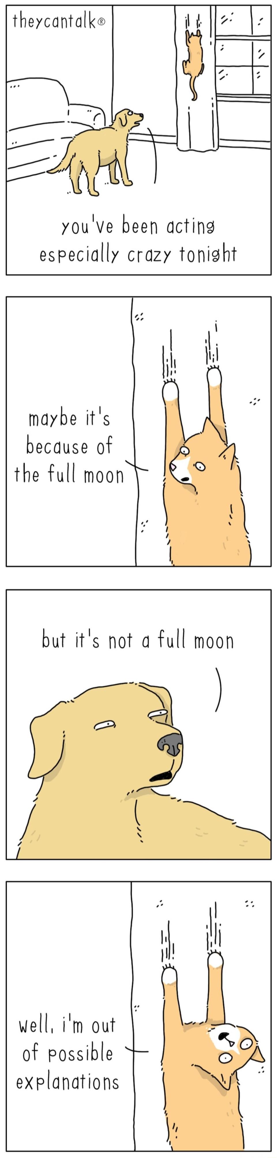 theycantalke it i 4 youve been acting especially crazy tonight maybe its because of the full moon but its not a full moon well im out of possible 1 explanations