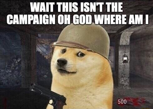 WAIT THIS ISNT THE CAMPAIGN OH GOD WIIEIIE L1 i ad