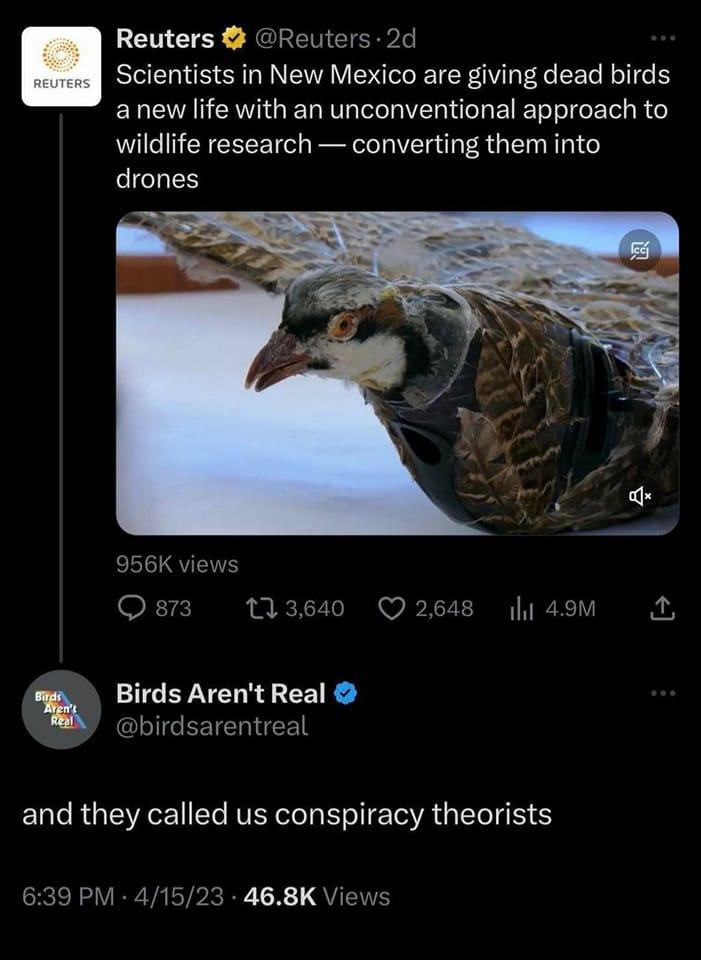 Reuters Reuters 2d Scientists in New Mexico are giving dead birds anew life with an unconventional approach to wildlife research converting them into CICLES 956K views Qs 113640 Q2648 49M P rds Arent Real GLIGCREIENICE and they called us conspiracy theorists 639 PM 41523 468K Views