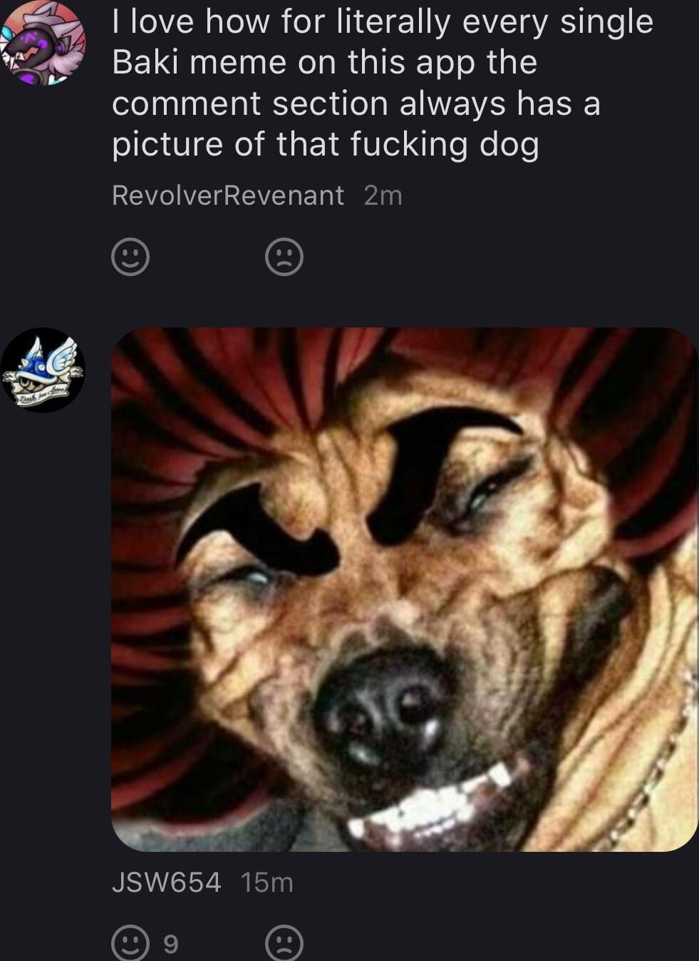 love how for literally every single Baki meme on this app the comment section always has a picture of that fucking dog BECIEGEVENE eyl JSW654 15m O