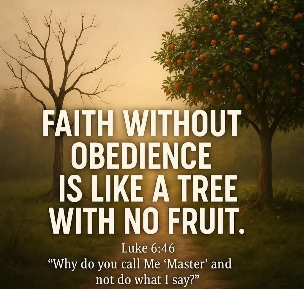 FAITH WITHOUT OBEDIENCE IS LIKE A TREE WITH NO FRUIT. Luke 6:46 
