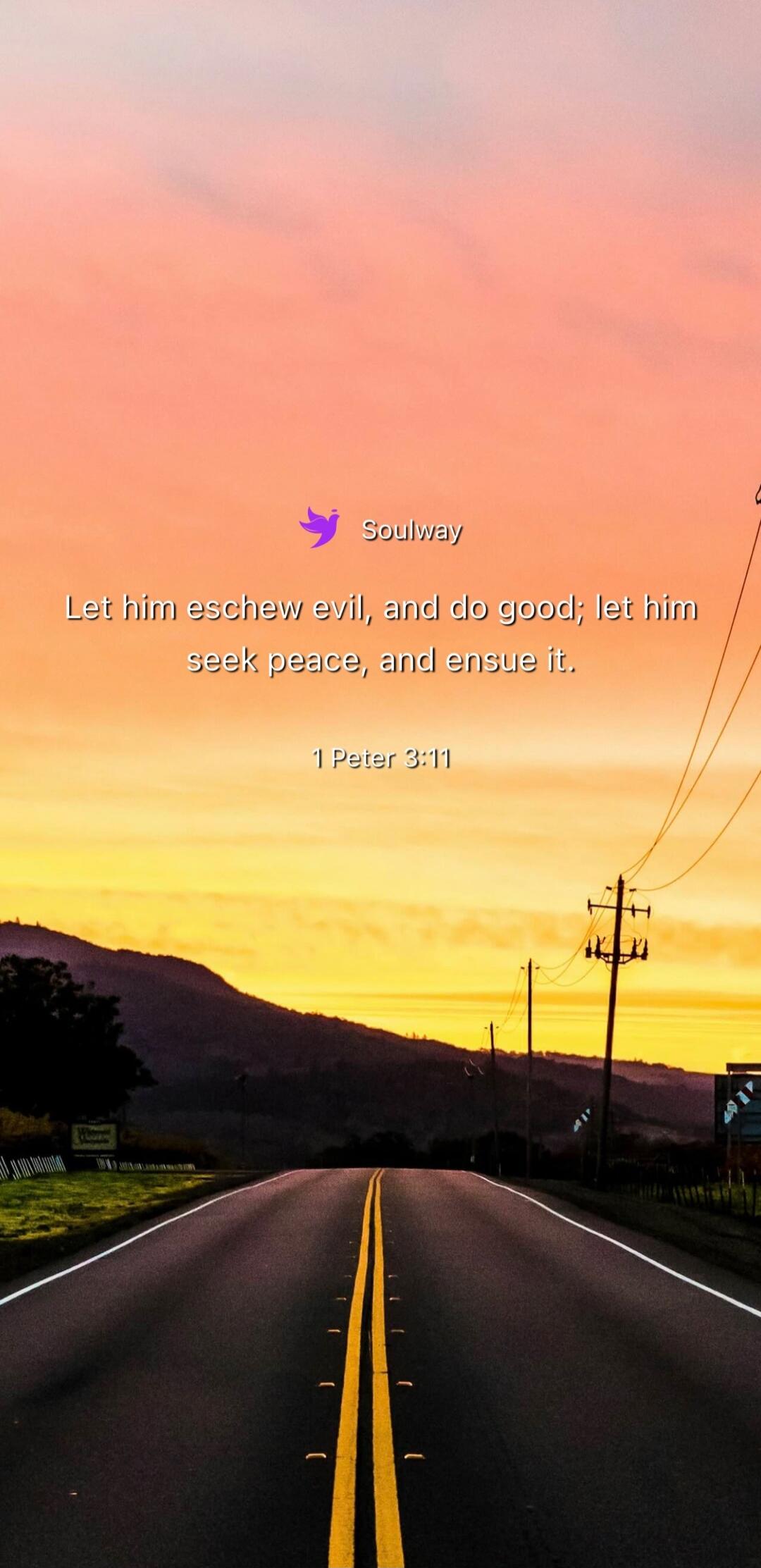 Soulway Let him eschew evil, and do good; let him seek peace, and ensue it. 1 Peter 3:11