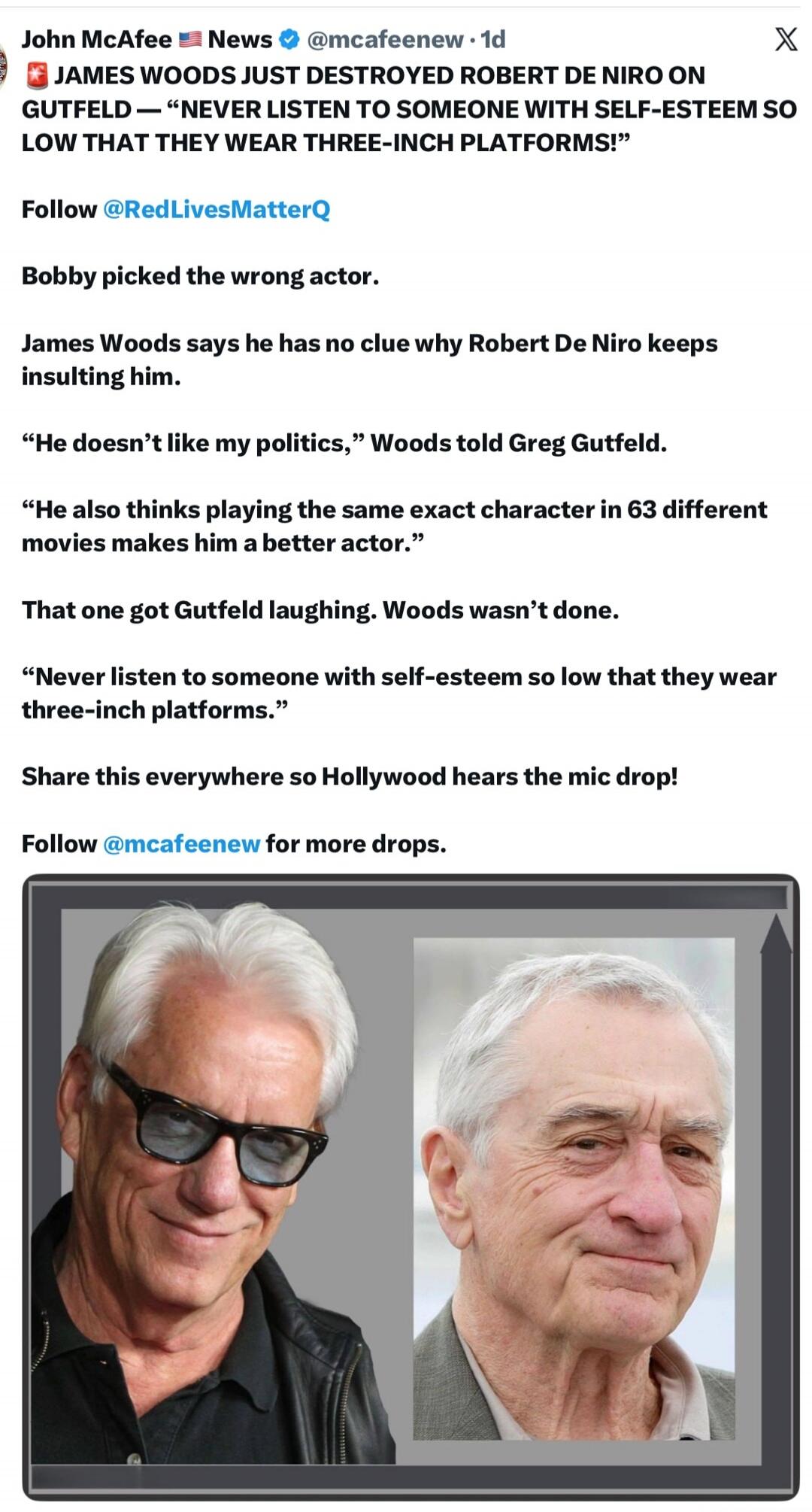 John McAfee News @mcafeenew • 1d JAMES WOODS JUST DESTROYED ROBERT DE NIRO ON GUTFELD — “NEVER LISTEN TO SOMEONE WITH SELF-ESTEEM SO LOW THAT THEY WEAR THREE-INCH PLATFORMS!” Follow @RedLivesMatterQ Bobby picked the wrong actor. James Woods says he has no clue why Robert De Niro keeps insulting him. “He doesn’t like my politics,” Woods told Greg Gu