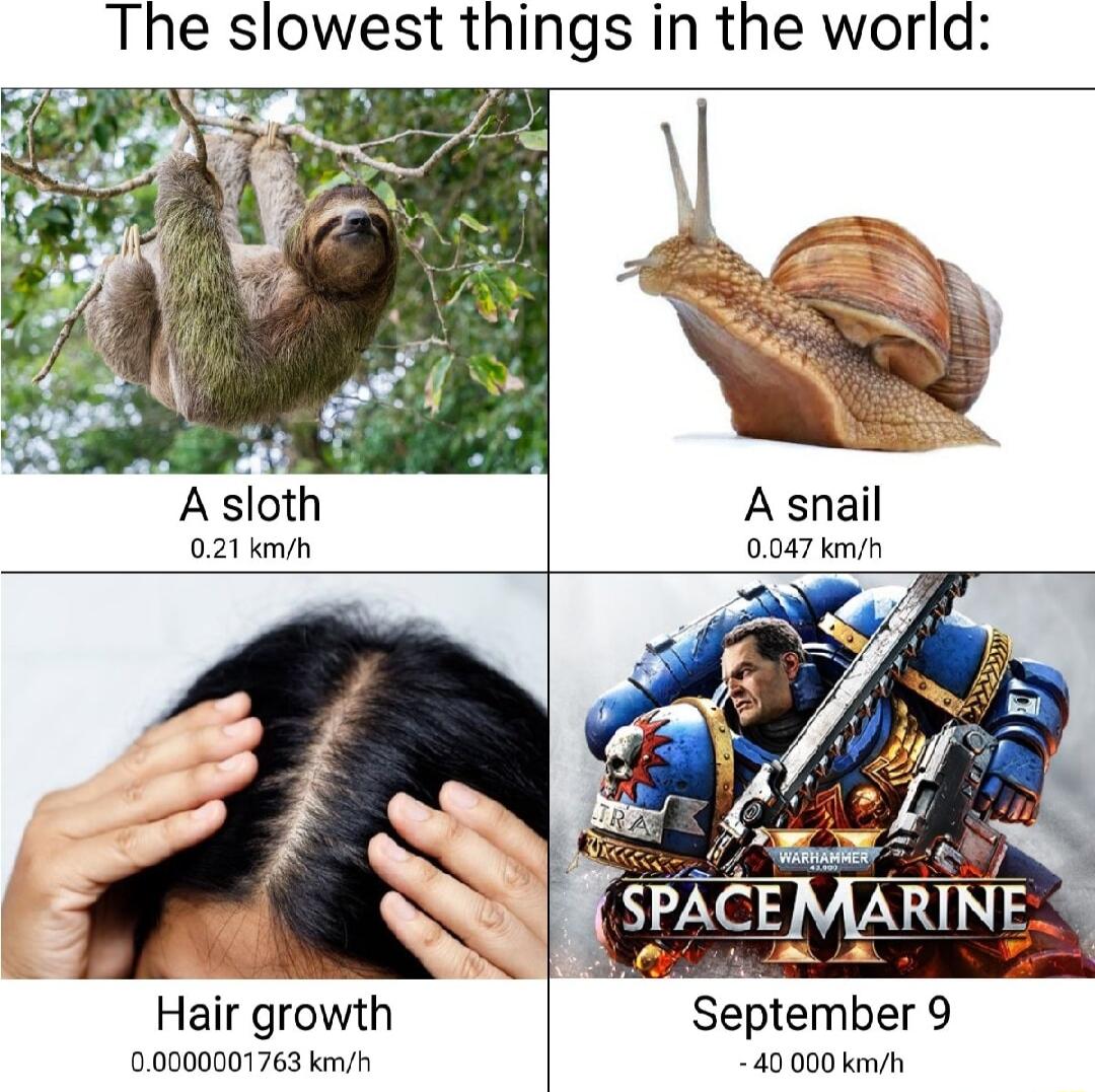 The slowest things in the world A snail 0047 kami SPACE RINF Hair growth September 9 00000001763 kmn 40 000 kmh