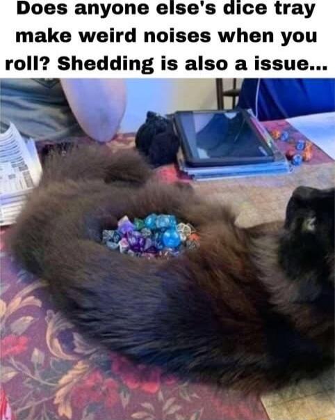 Does anyone eises dice tray make weird noises when you roll Shedding is also a issue