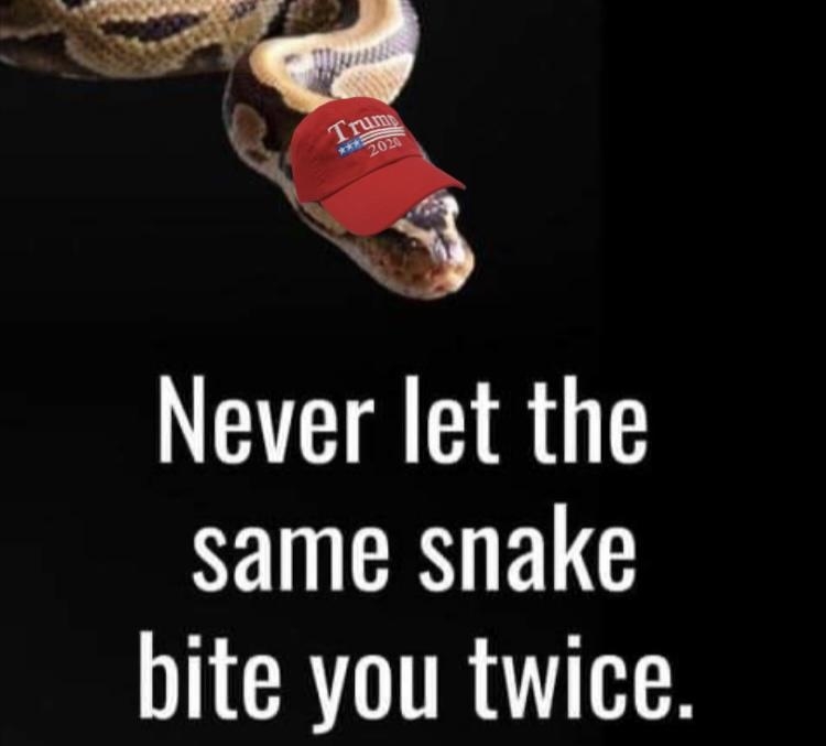 Never let the same snake bite you twice