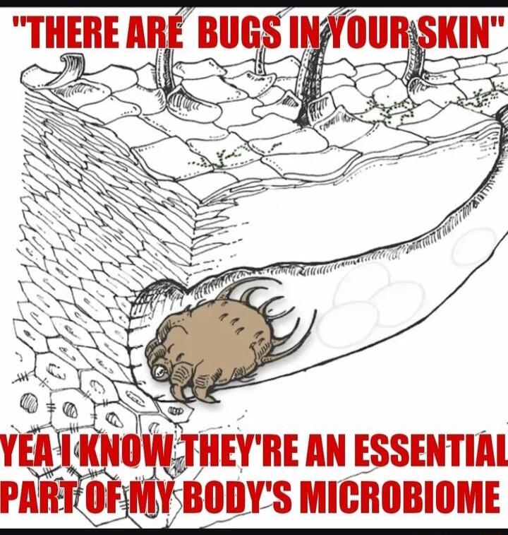 JWCTHEYRE AN ESSENTIAL BODYS MICROBIOME