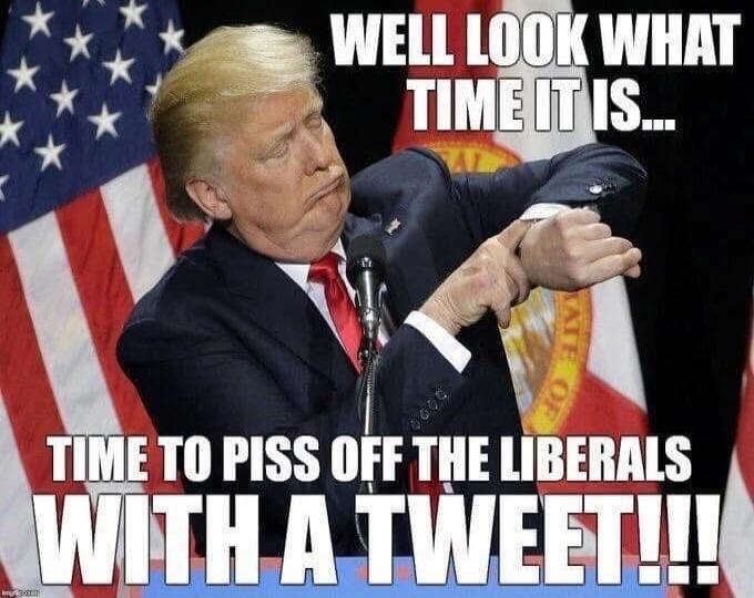WELL LOOK WHAT TIME IT IS... TIME TO PISS OFF THE LIBERALS WITH A TWEET!!!