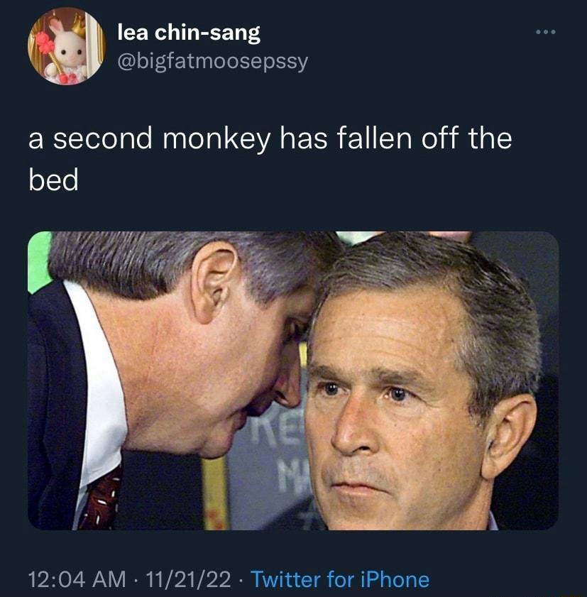 lea chin sang bigfatmoosepssy a second monkey has fallen off the bed g 1204 AM 11212