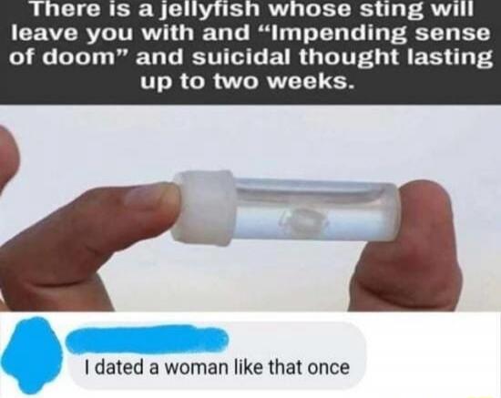 There is a jellyfish whose sting will leave you with an 'Impending sense of doom' and suicidal thought lasting up to two weeks.
I dated a woman like that once