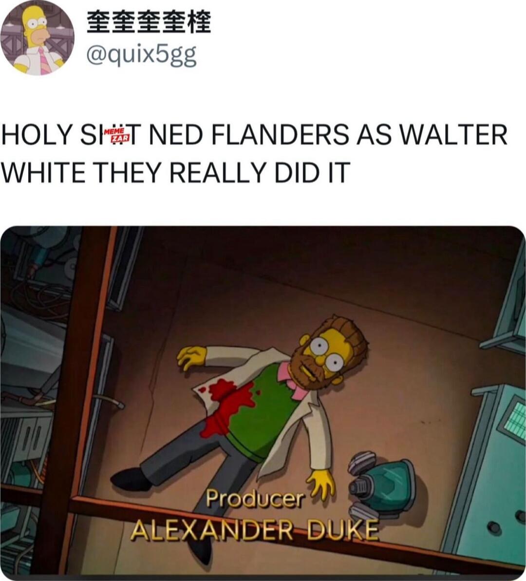 quix5gg g8 HOLY SkT NED FLANDERS AS WALTER WHITE THEY REALLY DID IT 4