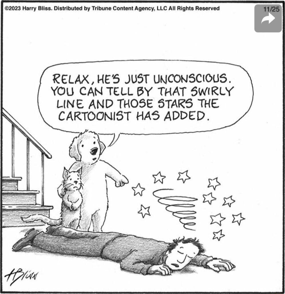RELAX HES JUST UNCONSCIOUS YOU CAN TELL BY THAT SWIRLY LINE AND THOSE STARS THE CARTOONIST HAS ADDED