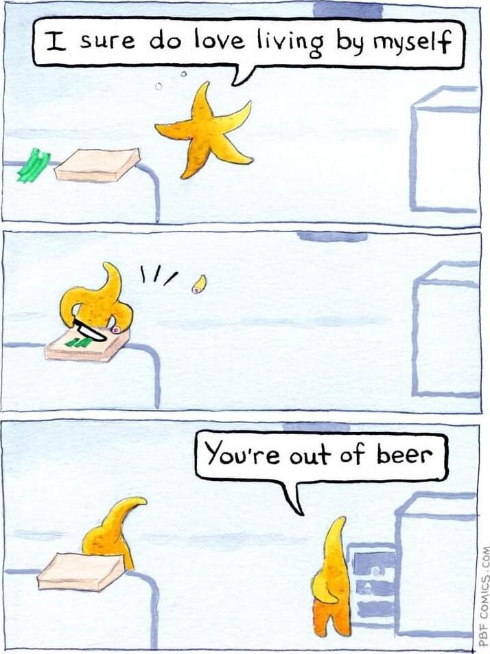 T sure do love living by myself il L Youre d of beer