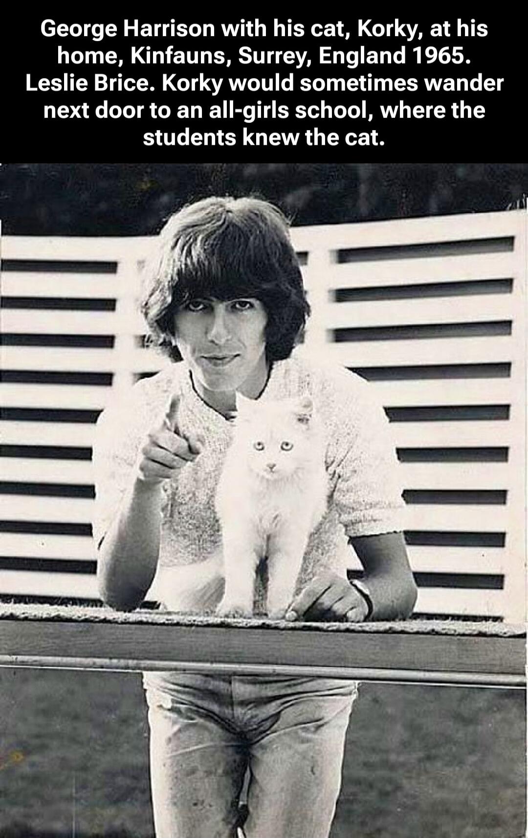 George Harrison with his cat, Korky, at his home, Kinfauns, Surrey, England 1965. Leslie Brice. Korky would sometimes wander next door to an all-girls school, where the students knew the cat.