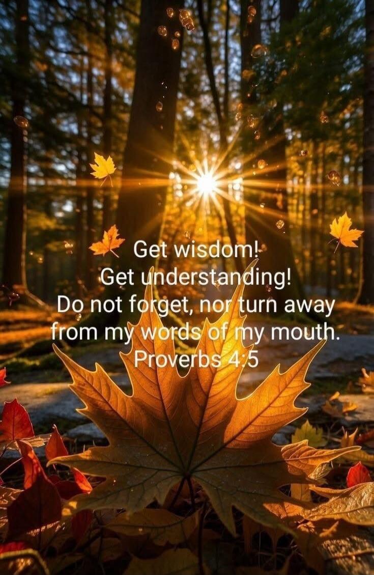 Get wisdom! Get understanding! Do not forget, nor turn away from my words of my mouth. Proverbs 4:5