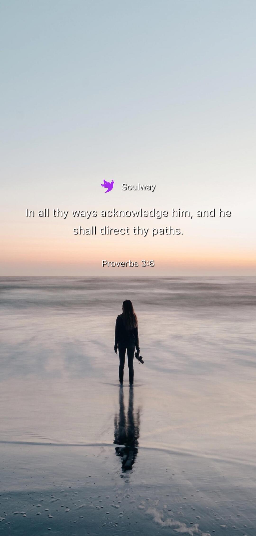 Soulway In all thy ways acknowledge him, and he shall direct thy paths. Proverbs 3:6