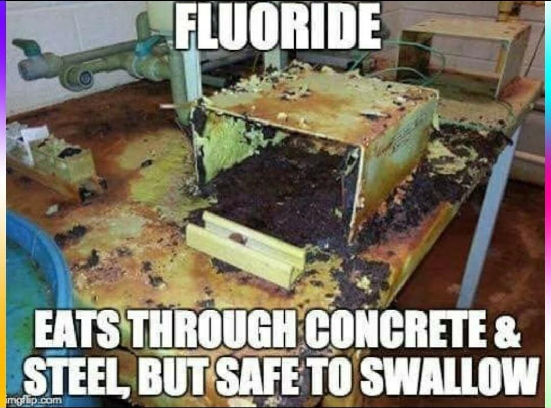 X msmnnuanscnuenm STEEL BUTSAFETO SWALLOW